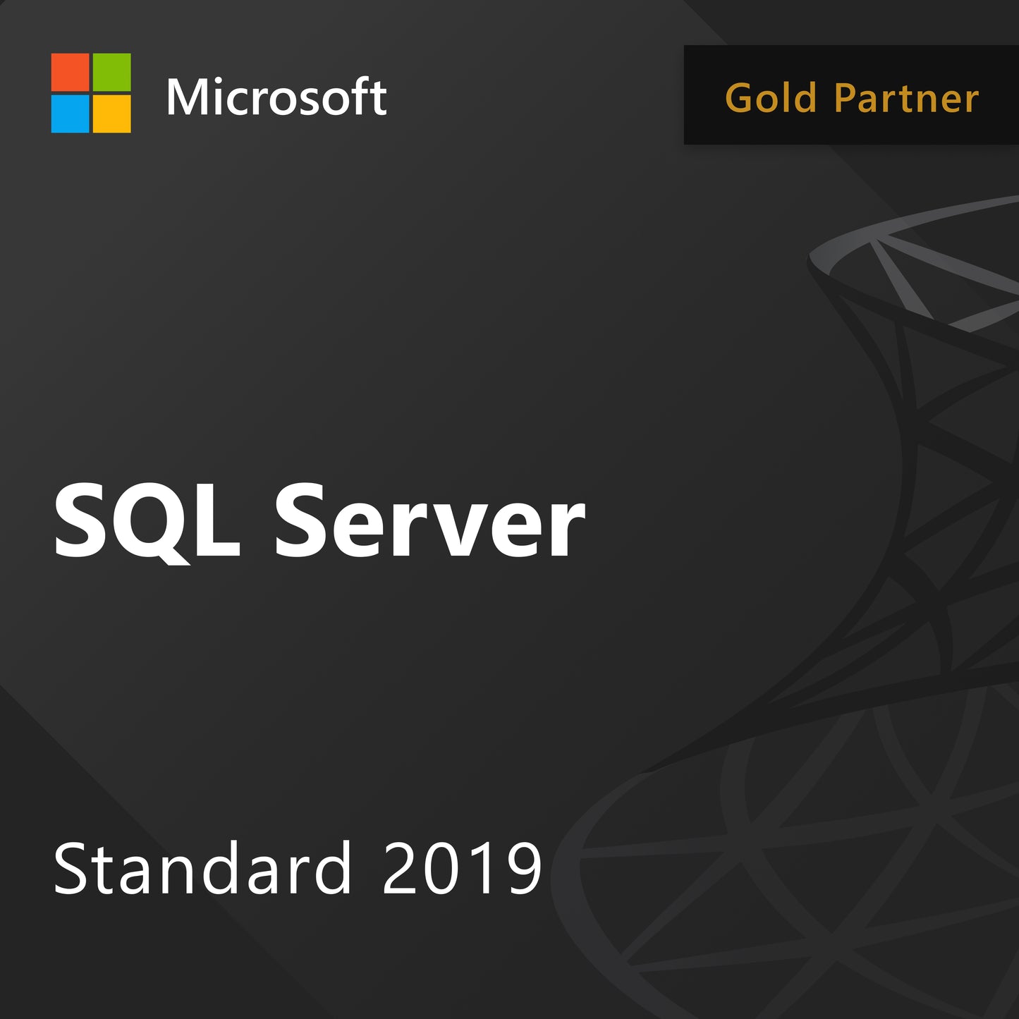 Microsoft SQL Server 2019 Standard - License