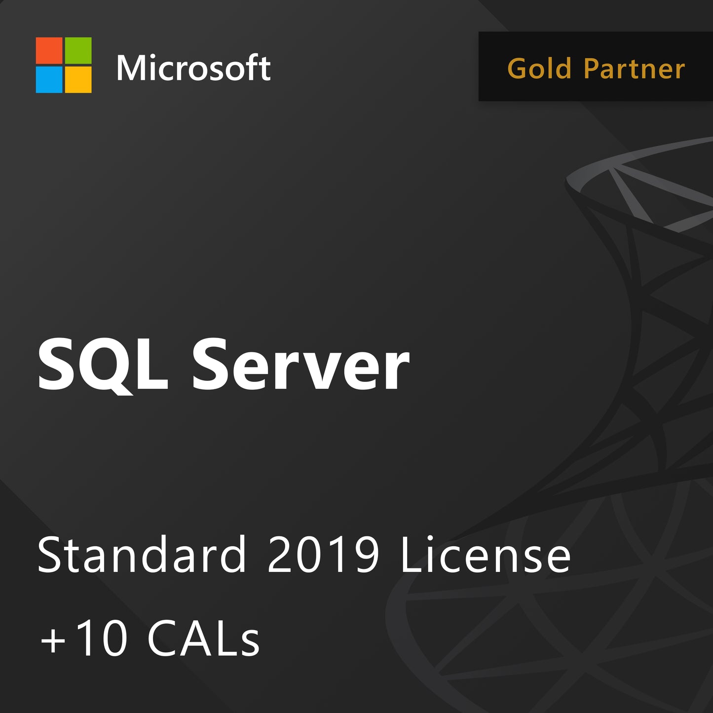 Microsoft SQL Server 2019 Standard - License + 10 CALs