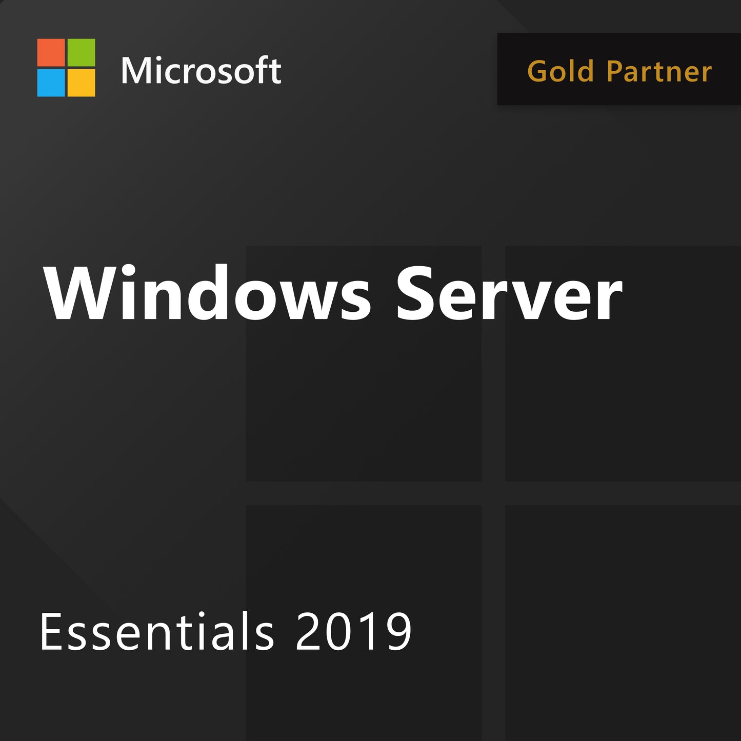 Microsoft Windows Server 2019 Essentials